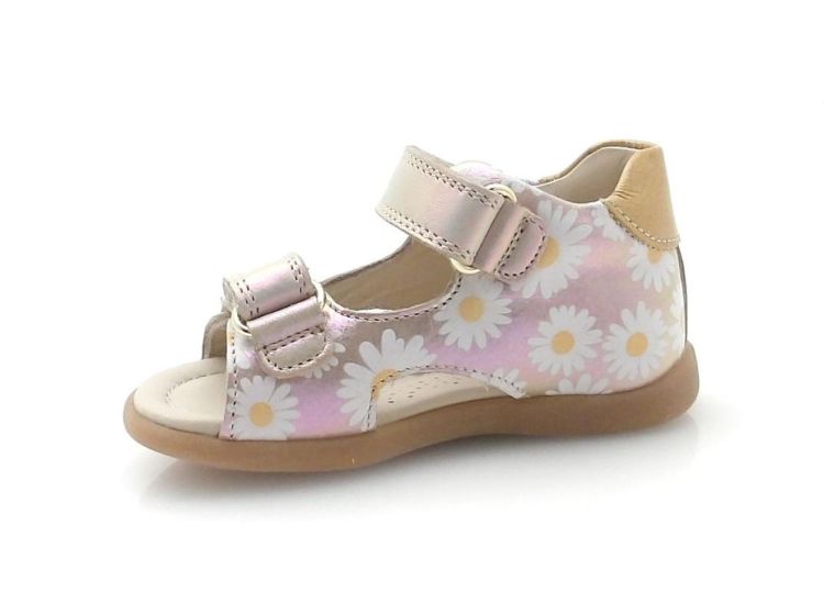 Stones and Bones Moye (260201) - Reynders - Daenen