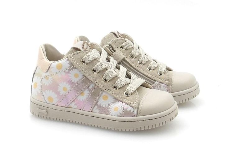 Stones and Bones Nepo (260097) - Reynders - Daenen