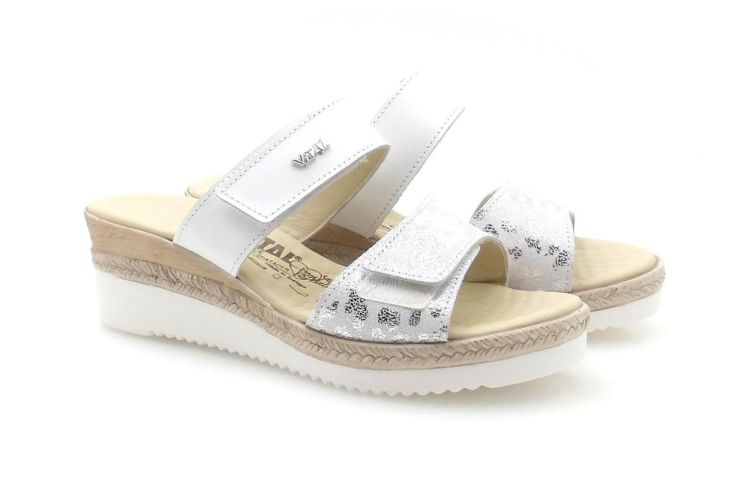 Vital 811 (260366) - Reynders - Daenen