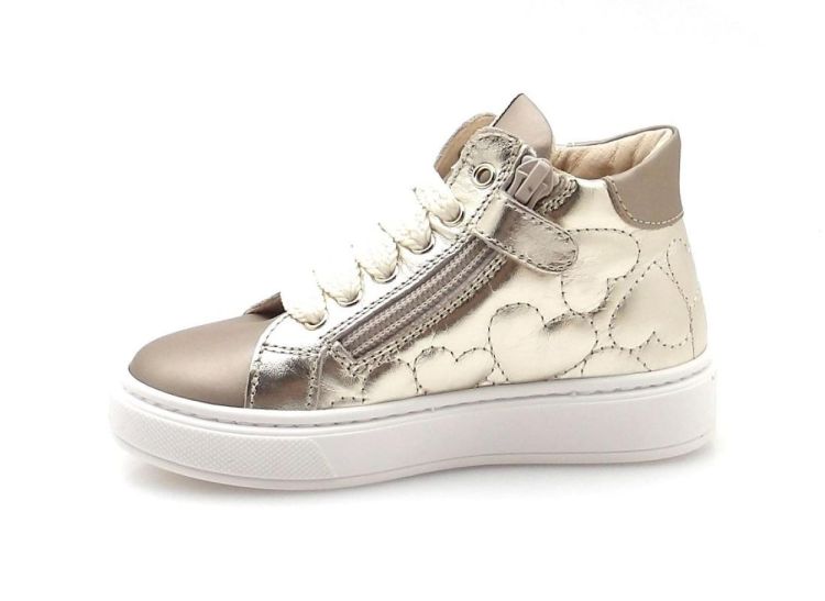 Walkey 43871 (250620) - Reynders - Daenen